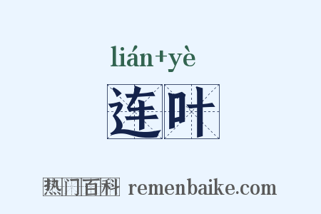 连叶是什么意思的图片